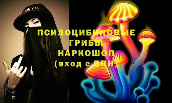 стаф Балахна