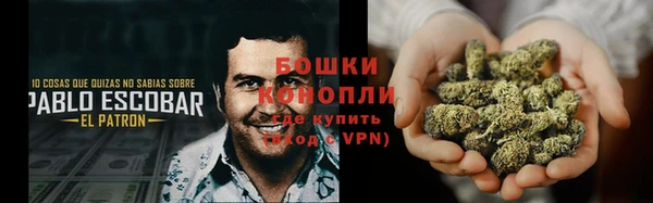 apvp Аркадак