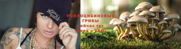 mdma Приозерск