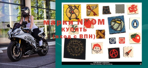 ГАЛЛЮЦИНОГЕННЫЕ ГРИБЫ Арсеньев