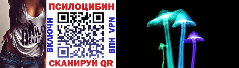 OMG онион  где купить наркотик  Болхов  Галлюциногенные грибы ЛСД 